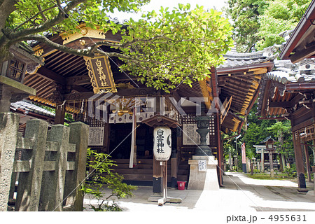 京都御苑　白雲神社 4955631