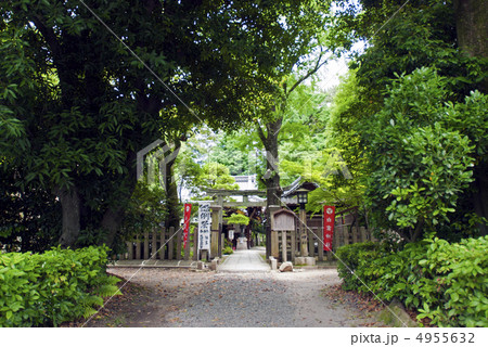 京都御苑　白雲神社 4955632