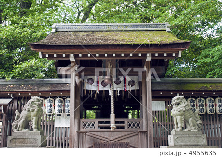 京都御苑　宗像神社の本殿 4955635