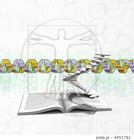 人体図とDNA/遺伝子配列 人体図とDNA/遺伝子配列 4955782
