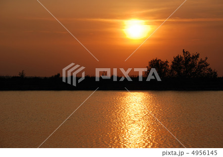 Sunset and tree 4956145