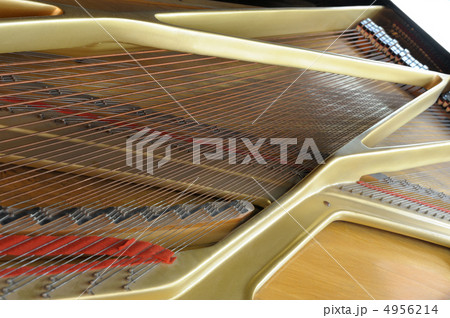 inside grand piano inside grand piano 4956214