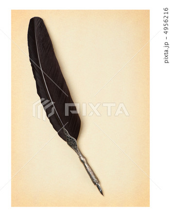 Feather quill  on an old paper 4956216