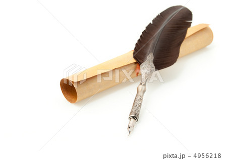 Feather quill and parchment roll. Isolated on white 4956218