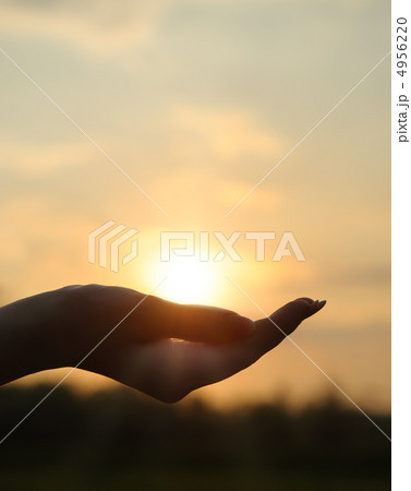 The sun in hand The sun in hand 4956220