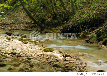 The mountain river 4956774