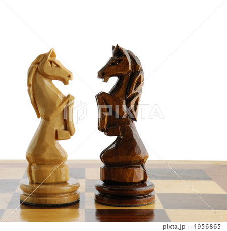 two  chess horse 4956865