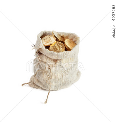 Moneybag On White 4957368