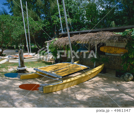 トロピカル・バケーション 4961347