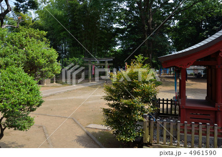 川越散歩・三芳野神社 4961590
