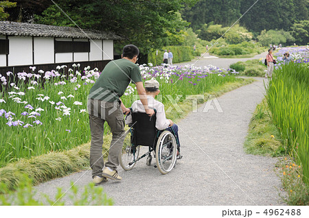 車椅子で菖蒲鑑賞 4962488
