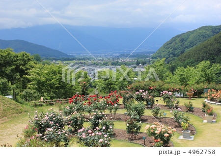 しんわの丘から 4962758