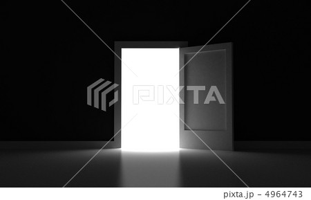 The door The door 4964743