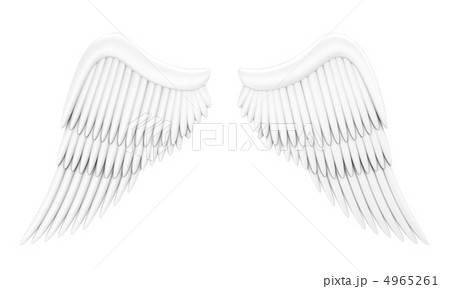 Angel wings Angel wings 4965261