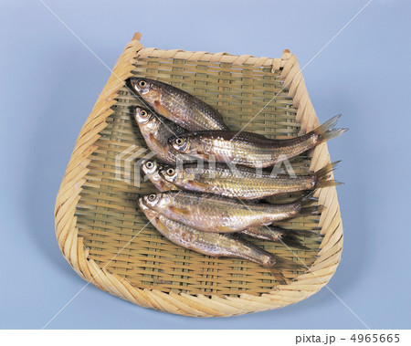 ザ食材/魚&肉 ザ食材/魚&肉 4965665