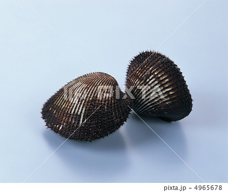 ザ食材／魚＆肉 4965678