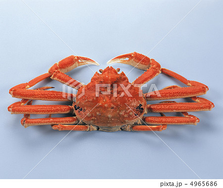 ザ食材／魚＆肉 4965686