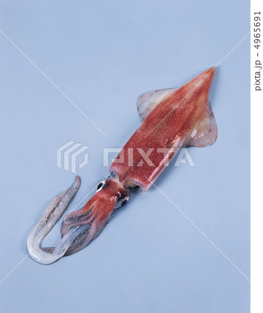 ザ食材／魚＆肉 4965691