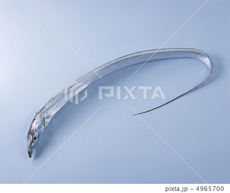 ザ食材/魚&肉 ザ食材/魚&肉 4965700