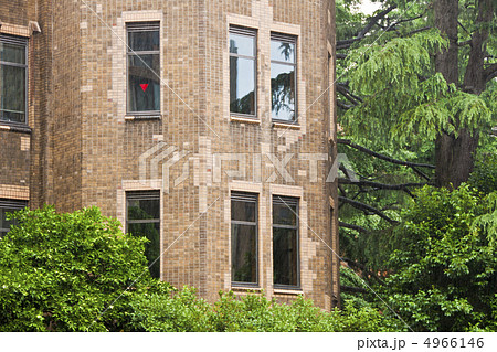 雨の東京大学 4966146