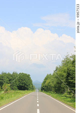 開陽台への道・中標津 4967533