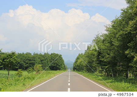 開陽台への道・中標津 4967534