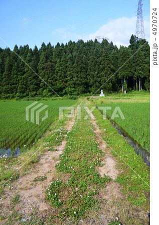 田舎の田んぼ道 4970724