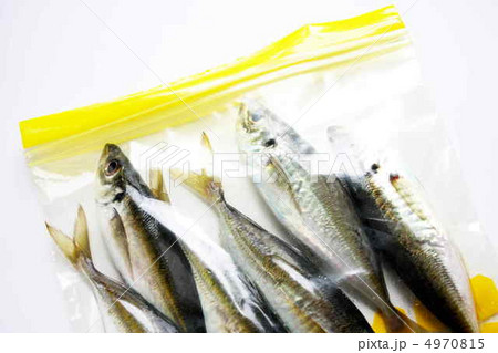ストックバッグに入れた鯵 4970815