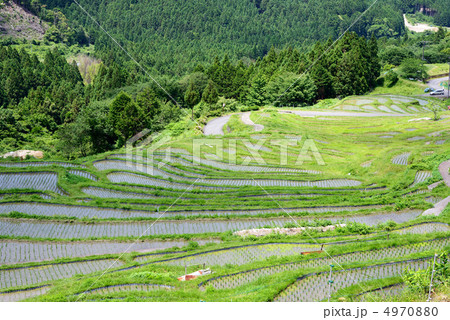丸山千枚田 丸山千枚田 4970880