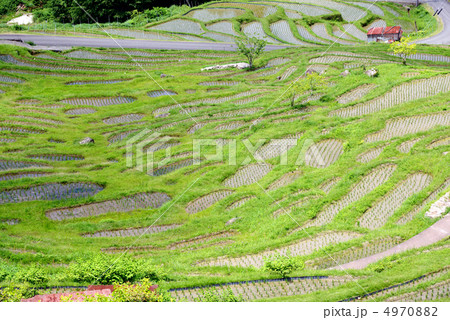 丸山千枚田 丸山千枚田 4970882