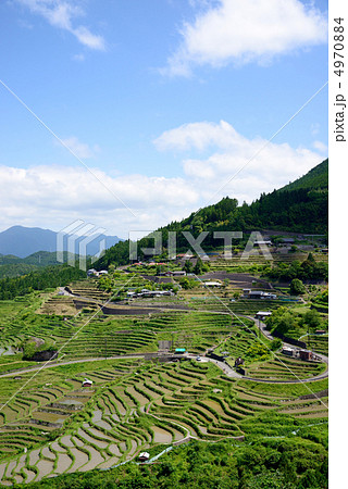 丸山千枚田 4970884