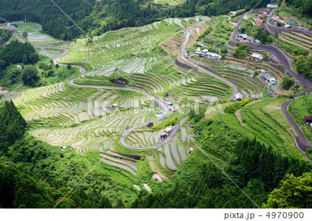 丸山千枚田 丸山千枚田 4970900