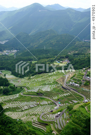 丸山千枚田 丸山千枚田 4970901