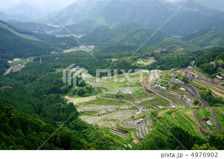 丸山千枚田 4970902