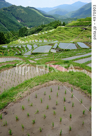 丸山千枚田 丸山千枚田 4970903