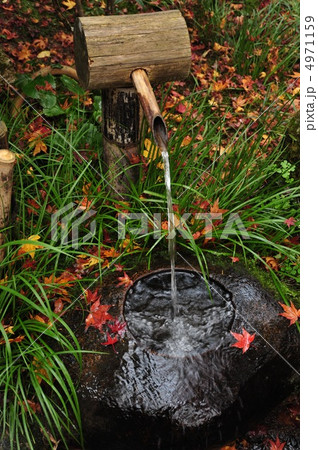 京都　祇王寺のつくばい 4971159