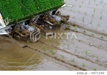 田植え風景 4971260