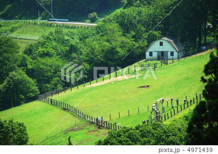 6月 大地・草原09牧草 6月 大地・草原09牧草 4971439