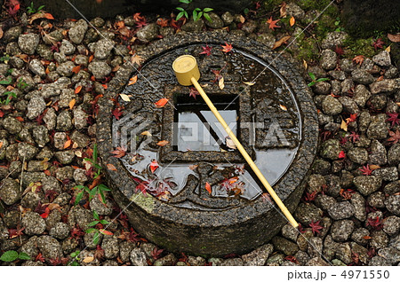 京都 金福寺 知足のツクバイ 京都 金福寺 知足のツクバイ 4971550