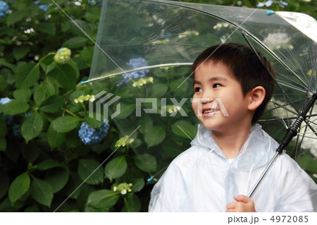 梅雨 雨季 雨 (男の子 子供 小学生 紫陽花 アジサイ レインコート 雨合羽) 4972085