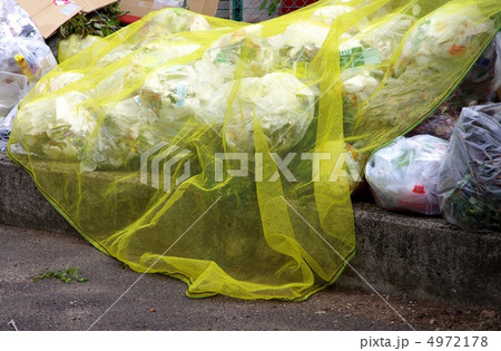 カラス避けネット　防鳥ネット　食害防止ネット 4972178