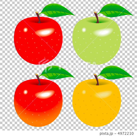 リンゴ リンゴ 4972210