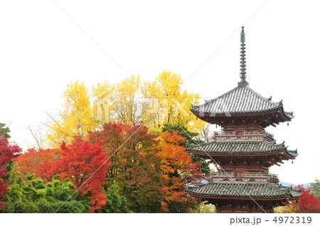 京都　宝積寺の秋 4972319
