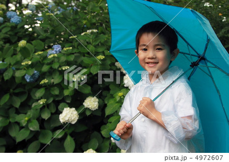 梅雨 雨季 雨 (男の子 子供 小学生 紫陽花 アジサイ レインコート 雨合羽) 4972607