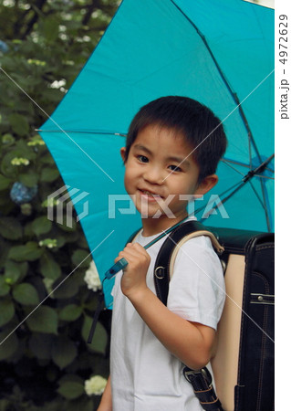 梅雨 雨季 雨 (男の子 子供 小学生 紫陽花 アジサイ ランドセル) 梅雨 雨季 雨 (男の子 子供 小学生 紫陽花 アジサイ ランドセル) 4972629