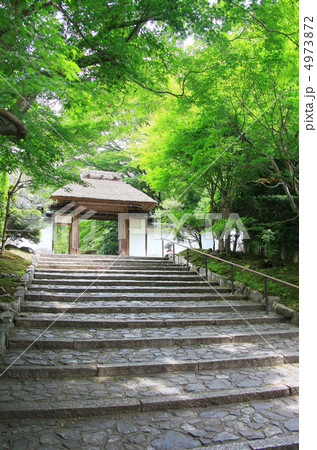 安楽寺・夏 4973872