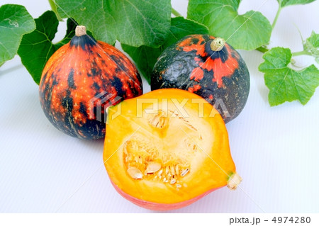 石川カボチャ 4974280