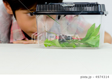 虫かごと少年 虫かごと少年 4974314