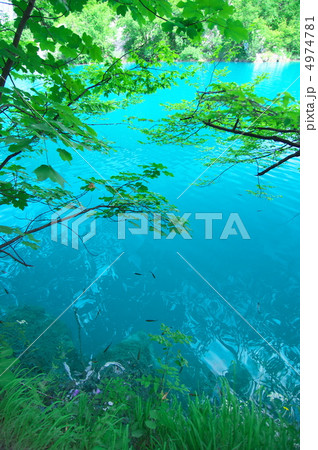 プリトビッツェ 4974781