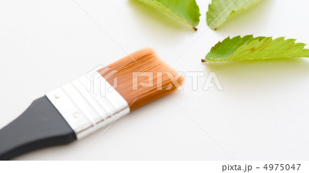 葉っぱと筆 葉っぱと筆 4975047
